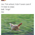 I'm a chicken