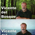 Vicente del...