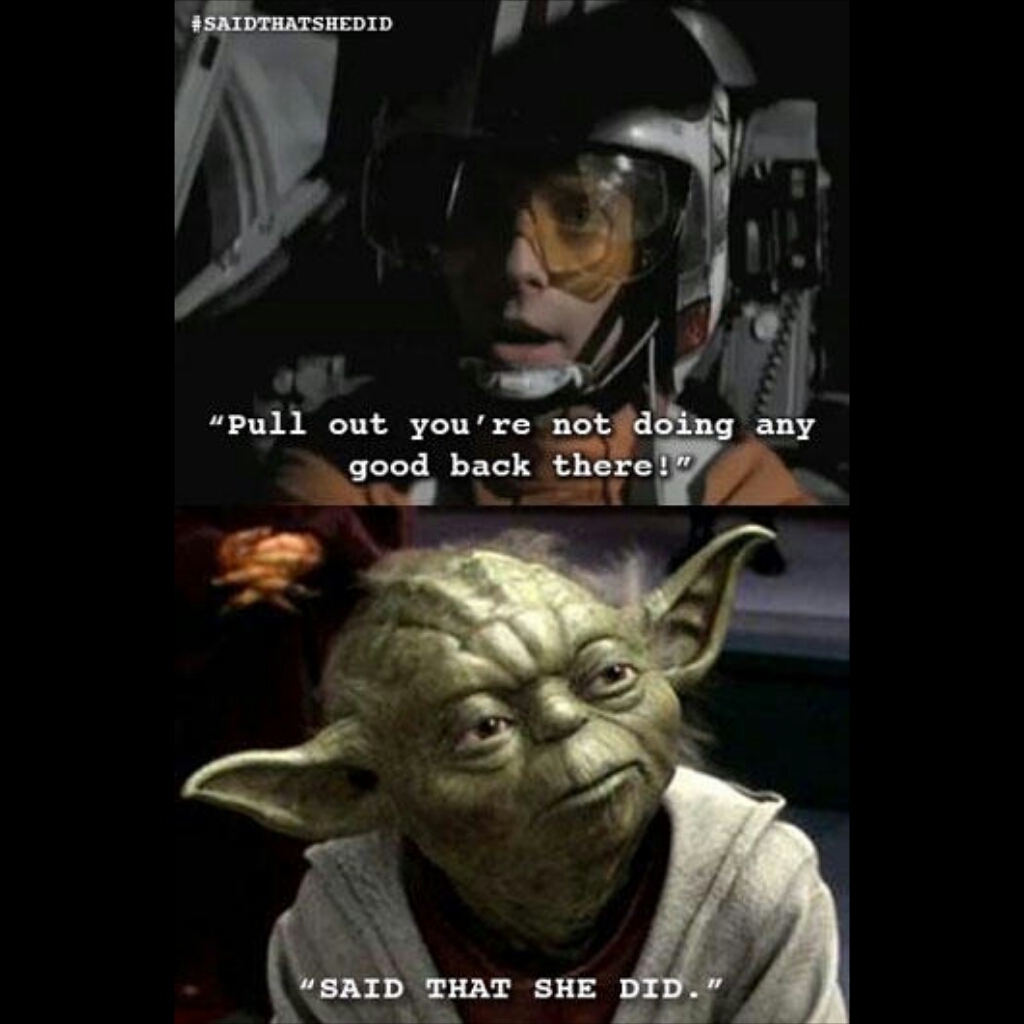 Wise Yoda - meme