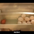 eggs racist