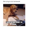 Fucking homework