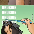 bat brush