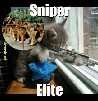 sniper elite - meme