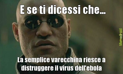 é vero scaricatelo su Internet se pensiate sia vero - meme