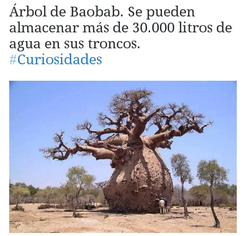 Arbol de baobab - meme