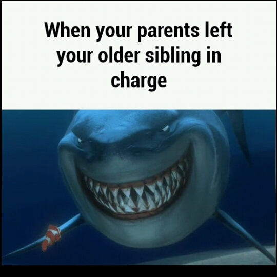Older siblings suck - meme