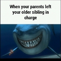 Older siblings suck