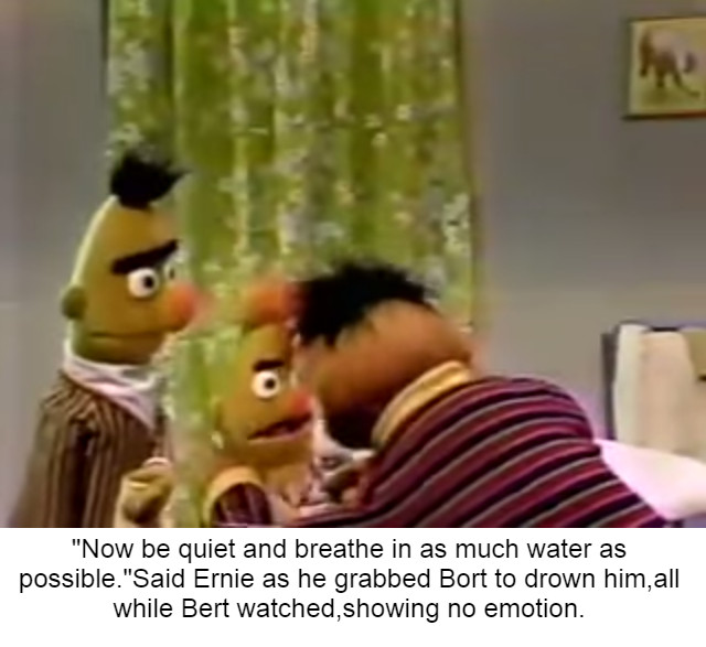 Bert doesn't give a shit - meme