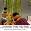 Bert doesn't give a shit