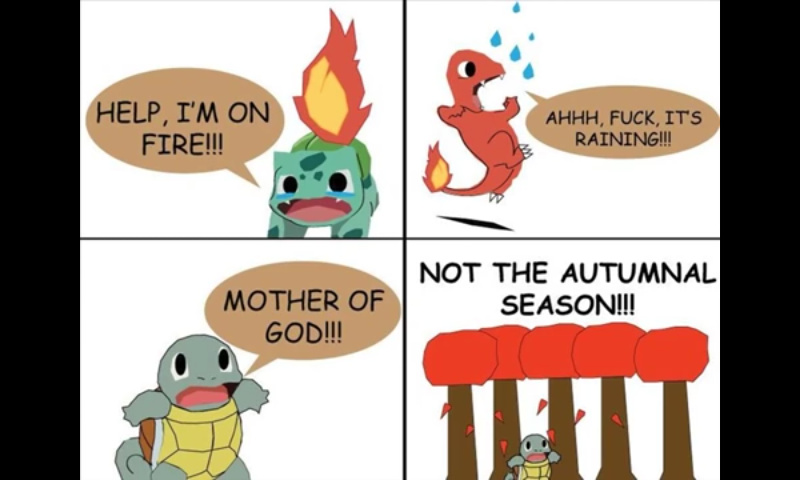 Pokemon logic - meme