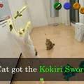 Chat obtient L'Épée Kokiri !