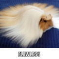 Flawless guinea pig is flawless