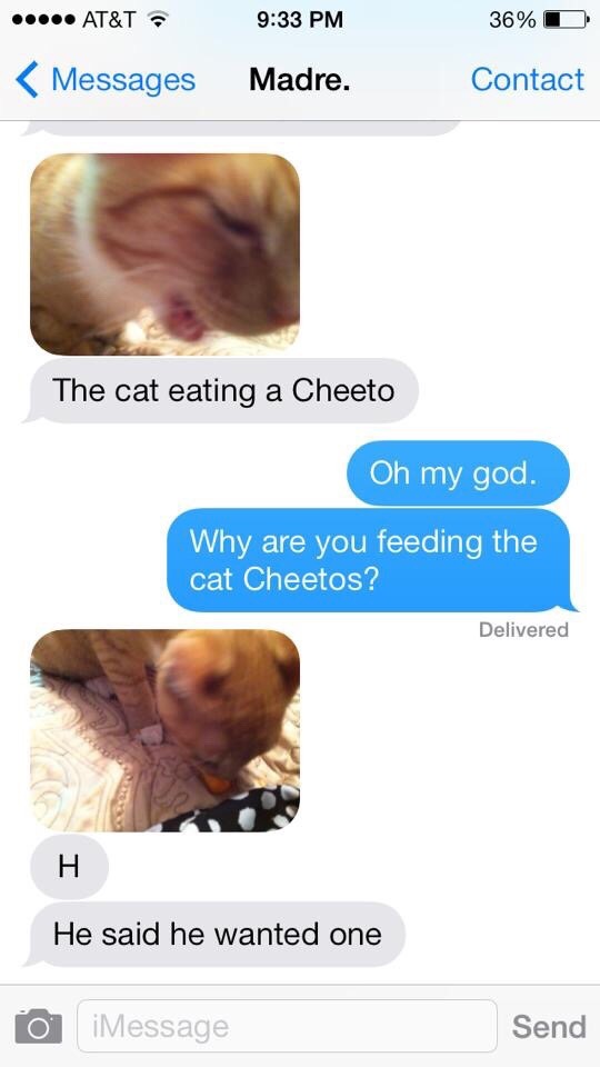 Cheetos - meme