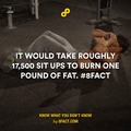 burn one pound of fat