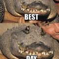 El happy day del cocodrilito