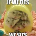 If we fits we sits