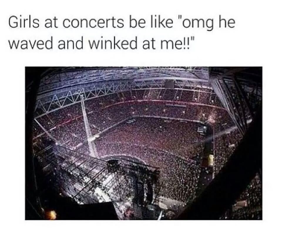 Girls at concerts - meme
