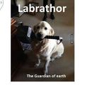 Labrador .. Não, pera
