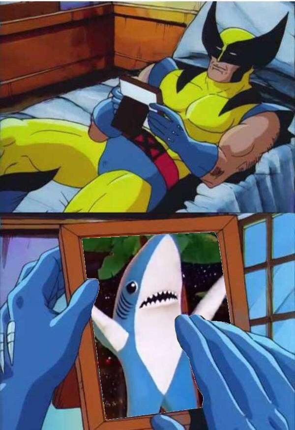 I know you're tired of this shark, but he is too precious - meme