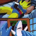 I know you're tired of this shark, but he is too precious