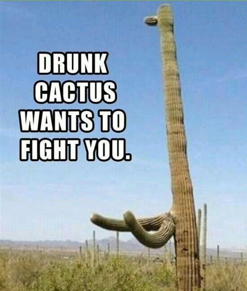 El cactus borracho quiere pelear contigo XD - meme