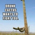 El cactus borracho quiere pelear contigo XD
