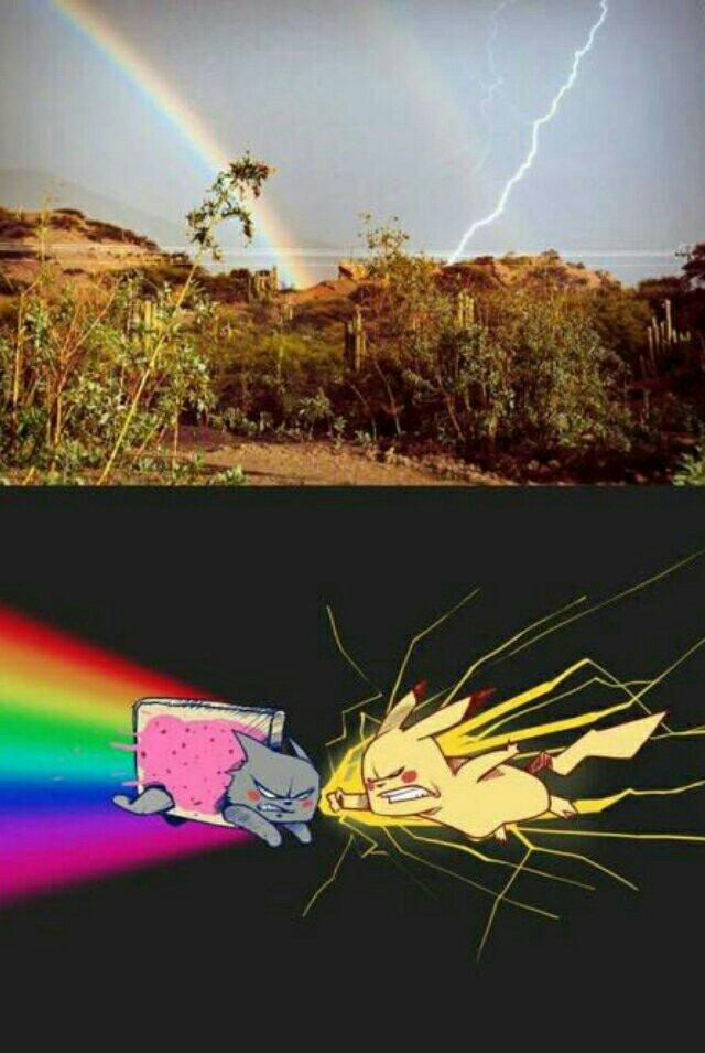 Pikachu vs Nyan cat - meme