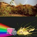 Pikachu vs Nyan cat
