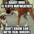 Mayweather is a pussy