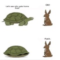 Turtle vs hair second race