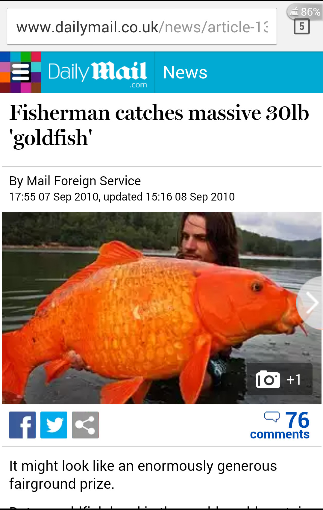 Massive goldfish - meme