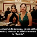 Ay Gaviota!