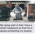 Shrek, my protector.