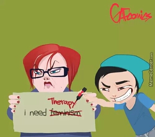 Damn Feminists - meme