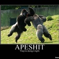 apes going apeshit