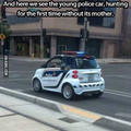 a young police car in his habitat