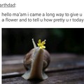 Good guy Snail
