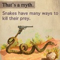 Killer snakes..