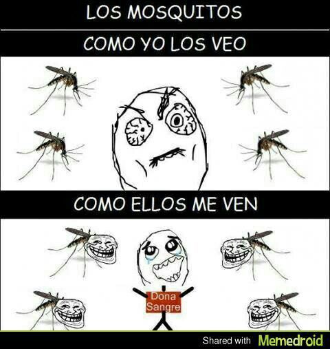 Los mosquitos - meme