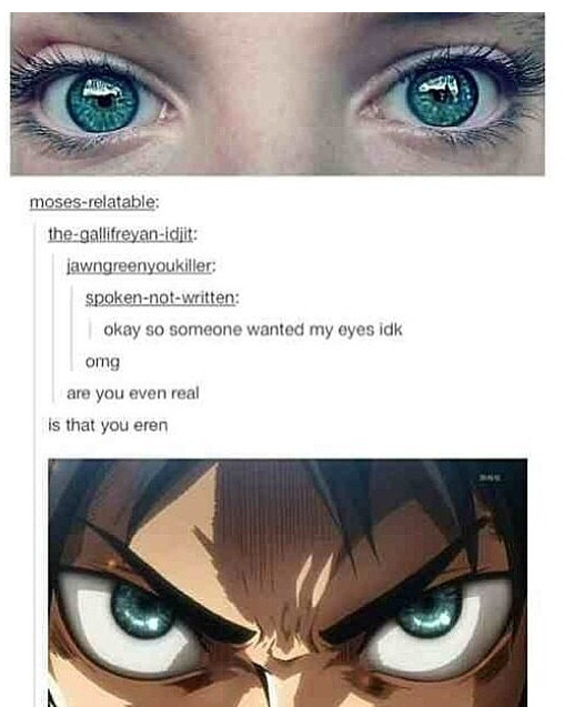 Anime: Attack On Titan (but you should know as it is god damn fucking popular) - meme