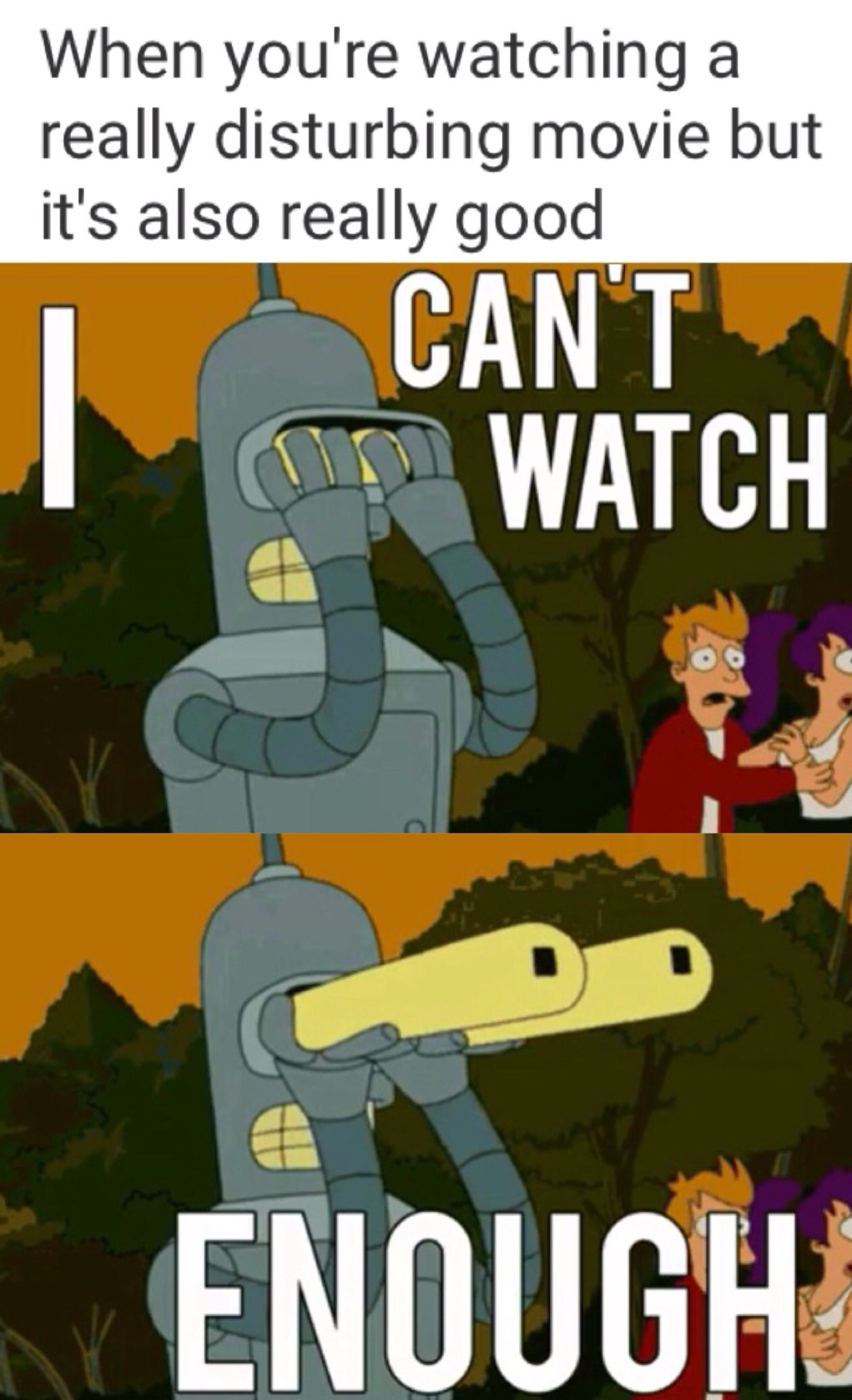 Futurama is the best cartoon ever! Feel free to argue in the comment section - meme