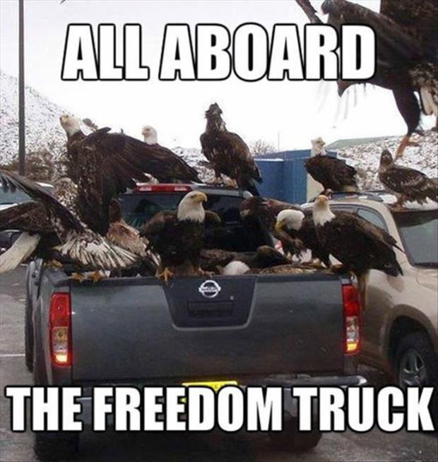 Get in bitches we're goin freedom shopping! - meme