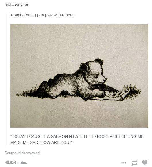 I want a bear pen pal - meme