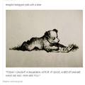 I want a bear pen pal