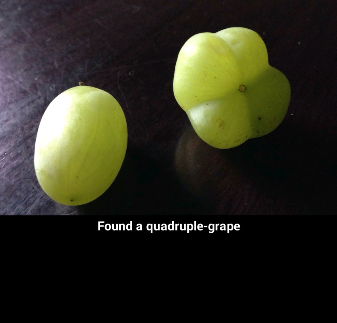 Quadruple - meme
