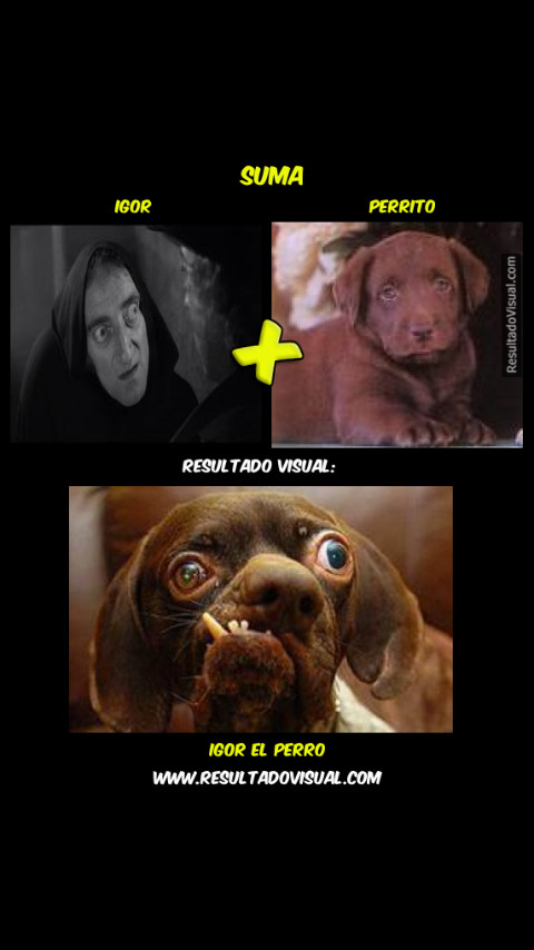 Mother of DOGS - meme
