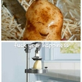 stupid potato