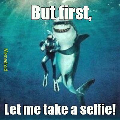 Selfie!!!_ - meme