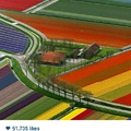 color of this farm