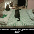 This doesn't concern you.
